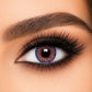 Freshlook Contact Lenses