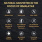 Pure Himalaya Shilajit - Dietary Supplement (30grams)