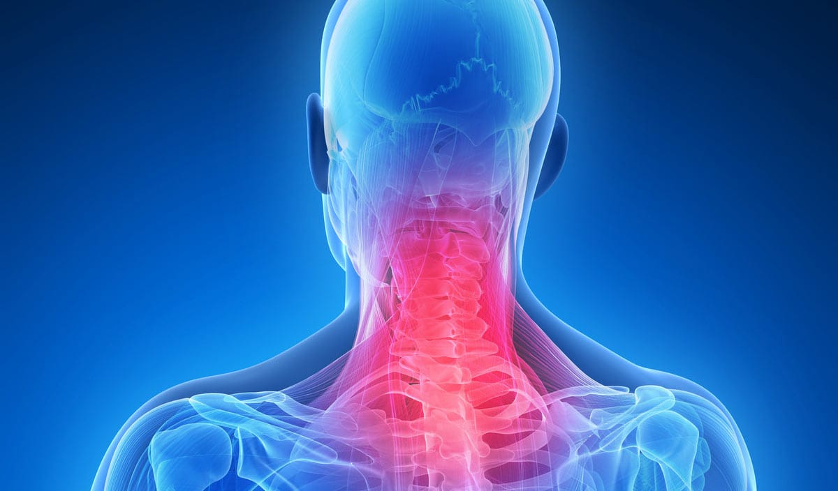 Short Back Pain Relief Microwave Heatpack