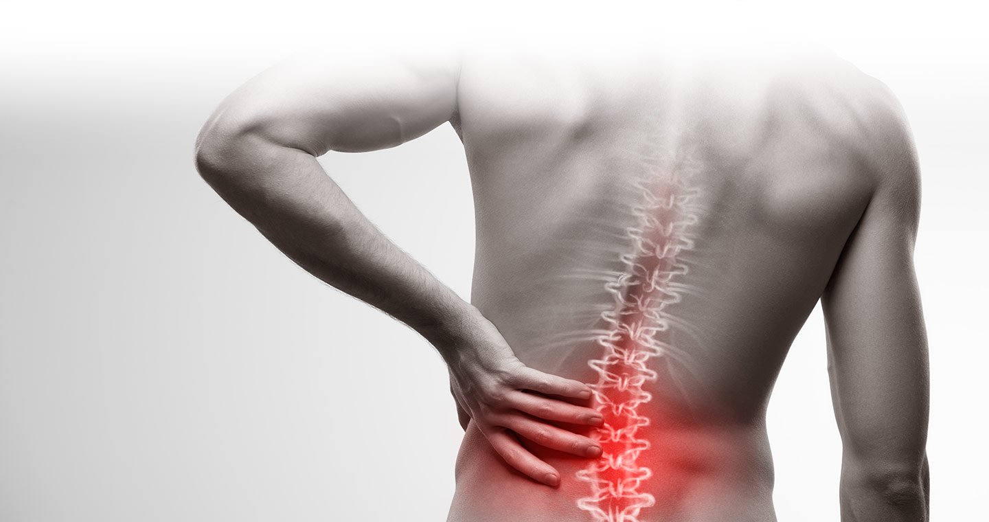 Short Back Pain Relief Microwave Heatpack