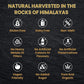 Pure Himalaya Shilajit - Dietary Supplement (30grams)