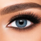 Freshlook Contact Lenses