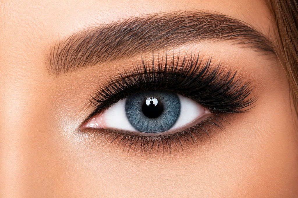 Freshlook Contact Lenses