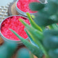 Lip Lightening Scrub